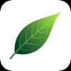 Naturegrade Icon