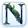 Newman&rsquo;s Birds of Africa Icon