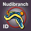 Nudibranch ID West Pacific Icon