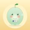 NummiScout Icon