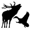 NZ GAME CALLS Icon
