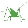 Orthoptera Icon