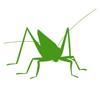 Orthoptera Icon