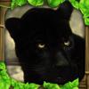 Panther Simulator Icon