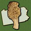 Pennsylvania Mushroom Forager Icon