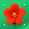Pflanzen Erkennen: PlantFlow Icon