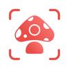 Picture Mushroom - Pilzsuche Icon