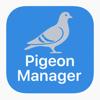 Pigeon Manager Icon