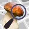 Pilz Erkenner - Auto Erkennung Icon
