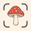 Pilze bestimmen: Funghi AI Icon