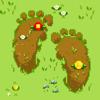 Pixsteps: Gamified Pedometer Icon