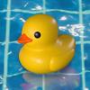 Placid Plastic Duck Simulator Icon