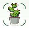 Plant Doctor disease diagnosis Icon