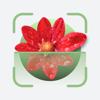 Plant ID - Flower Identifier Icon
