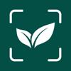 Plant Identification Diagnosis Icon