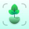 Plant Identifier - By Picture Icon