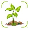 Plant Identifier &Disease Care Icon