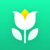Plant Parent - Der Pflegeguide Icon