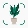 Plantify : Pflanzen Erkennen Icon