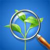 PlantIn- Plant Identifier Icon