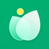 PlantLush: Plant ID & Care Pro Icon