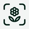 Planto: Pflanzen Erkennen Icon