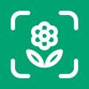 Planto: Pflanzenbestimmung Icon