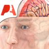 Pocket Brain – Interaktive Neuroanatomie Icon