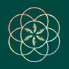 Pocket Visions Tarot Icon