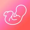 Pregnancy & Baby App - WeMoms Icon