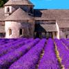 Provence’s Best: Travel Guide Icon