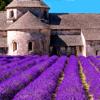 Provence&rsquo;s Best: Travel Guide Icon