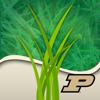 Purdue Turf Doctor Icon