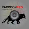 Raccoon Hunting Calls - With Bluetooth - Ad Free Icon