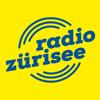 Radio Z&uuml;risee Icon