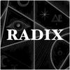 RADIX: The Practice Icon