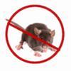 Rat And Mouse Sound Repeller Icon
