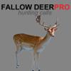 REAL Fallow Deer Calls - Deer Grunt & Deer Bark - BLUETOOTH COMPATIBLE Icon