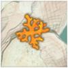 Reef Encounter Icon
