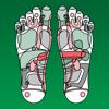 Reflexology Chart Icon