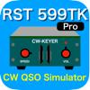 RST 599TK Pro Icon