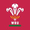 Rygbi Cymru Icon