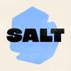 SALT: Christliche Partnersuche Icon