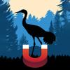 Sandhill Crane Magnet Icon