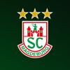 SC Magdeburg Icon