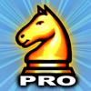 Schach Pro Icon