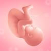 Schwangerschafts-App ・ Icon