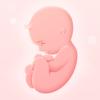 Schwangerschafts-App + Icon