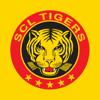 SCL Tigers Icon