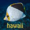 Scuba Fish Hawaii Icon